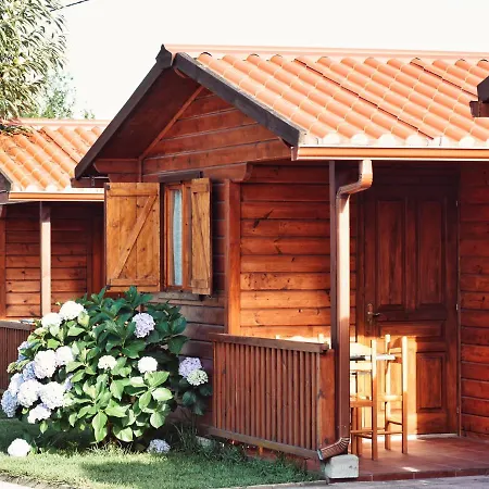 Preguntoiro Кемпинг