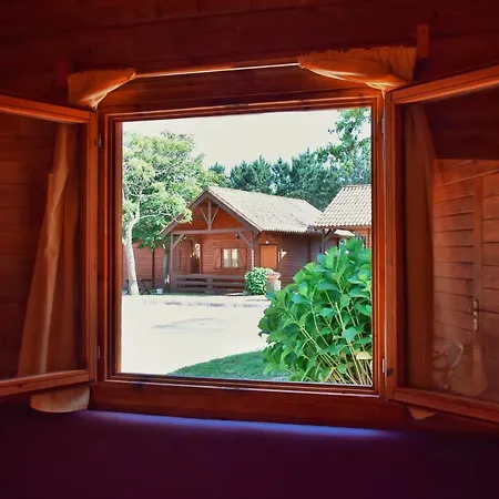 Preguntoiro * Санхенхо