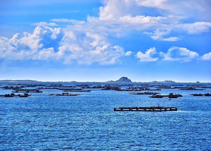 Preguntoiro Kamp alanı