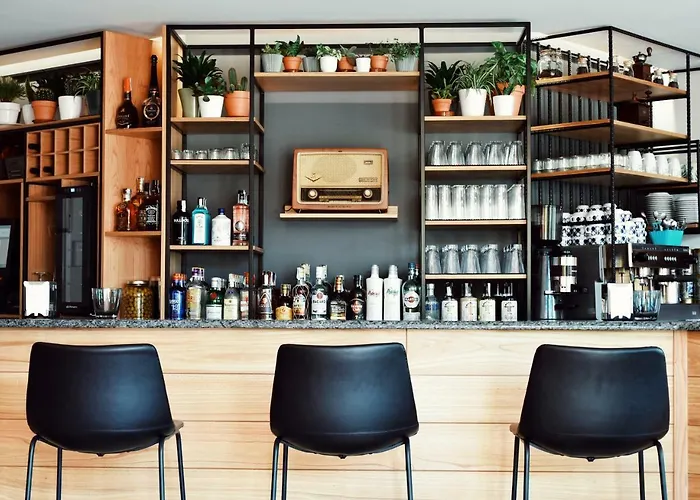 Preguntoiro Kamp alanı *