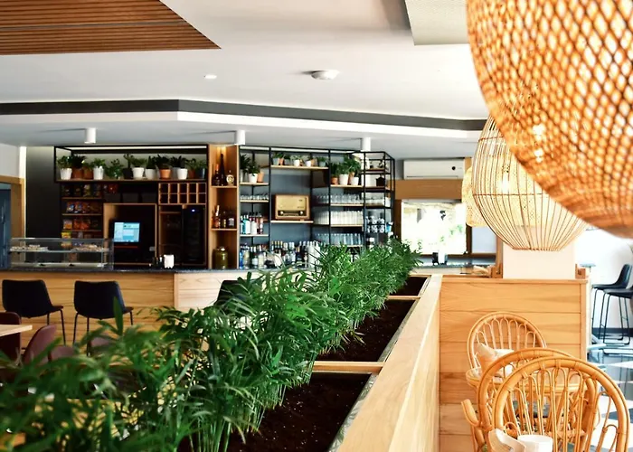 Preguntoiro Kamp alanı *